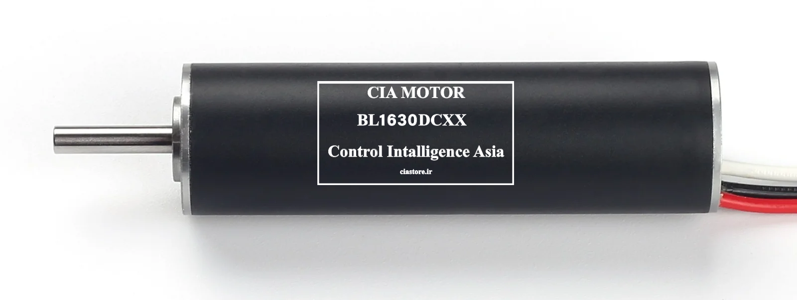 BL1630DC06