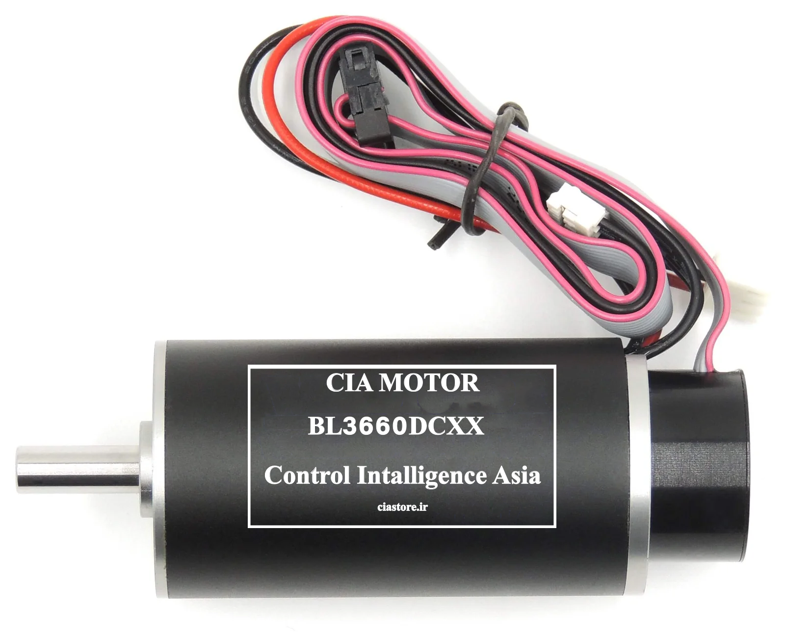 BL3660DC24